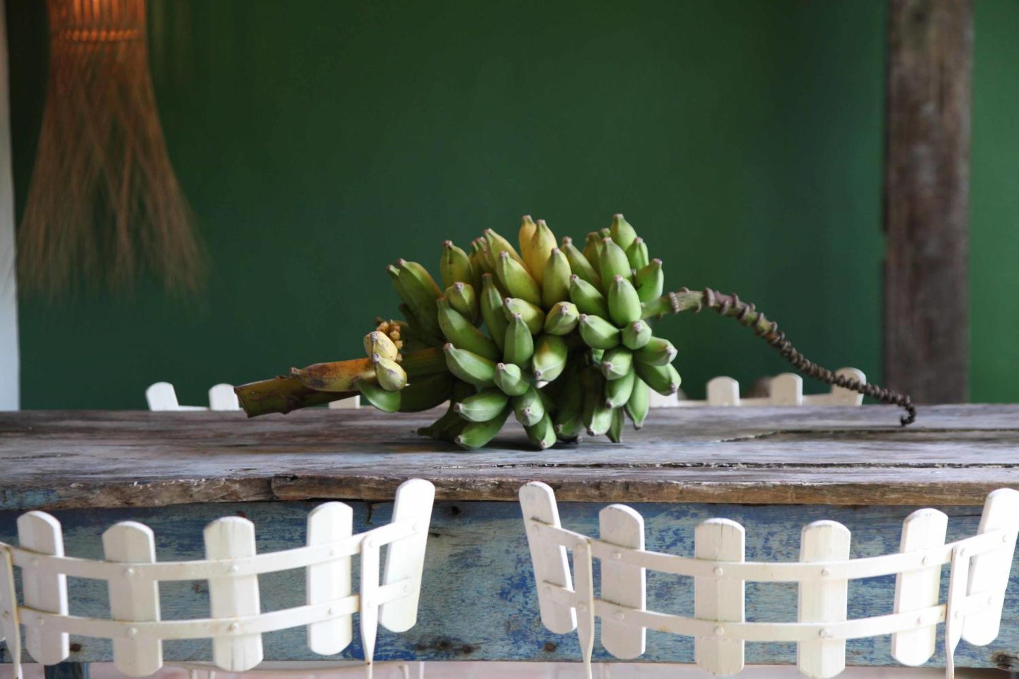 Uxua Casa & Trancoso