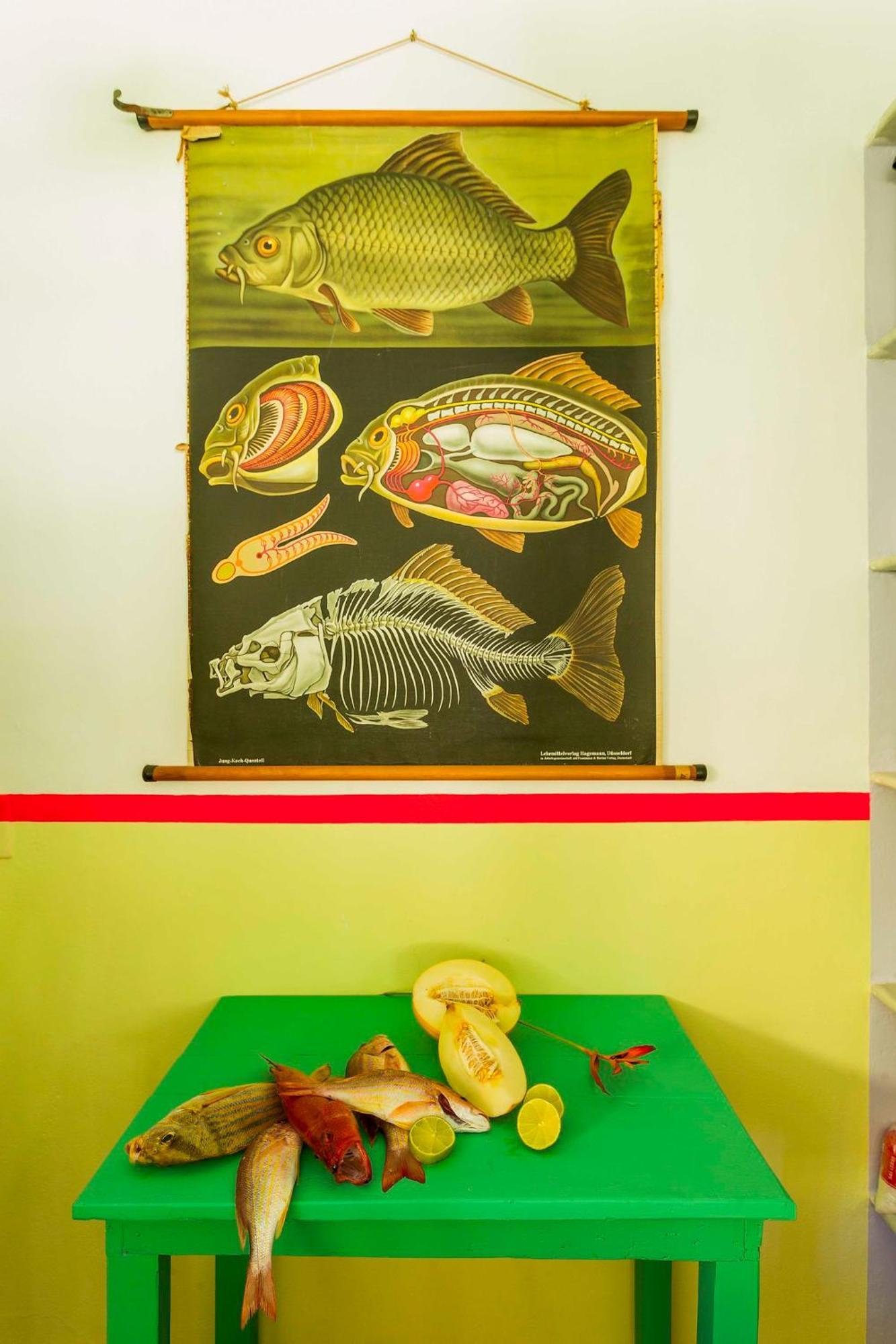 Uxua Casa &